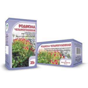 РОДИОЛА ЧЕТЫРЕХЧЛЕННАЯ (КРАСНАЯ ЩЕТКА) 25Г. /ХОРСТ/